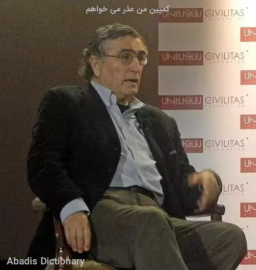 کمپین من عذر می خواهم